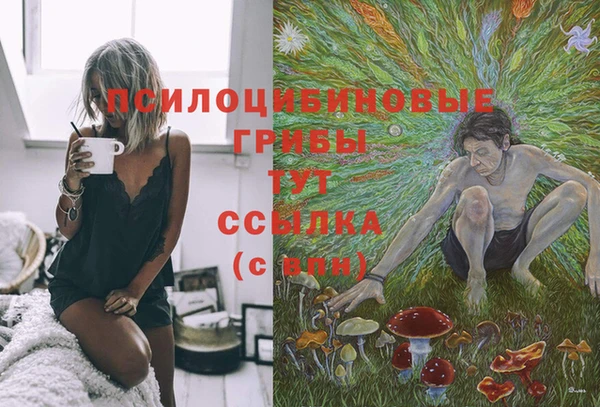 бошки Алзамай